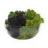 Aktion 👏 Trendglas Jena Glas-Schüssel | 4,0 L 🎁 11